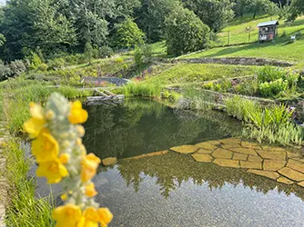 Přírodní jezírko