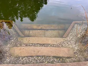 Přírodní jezírko v Liberci