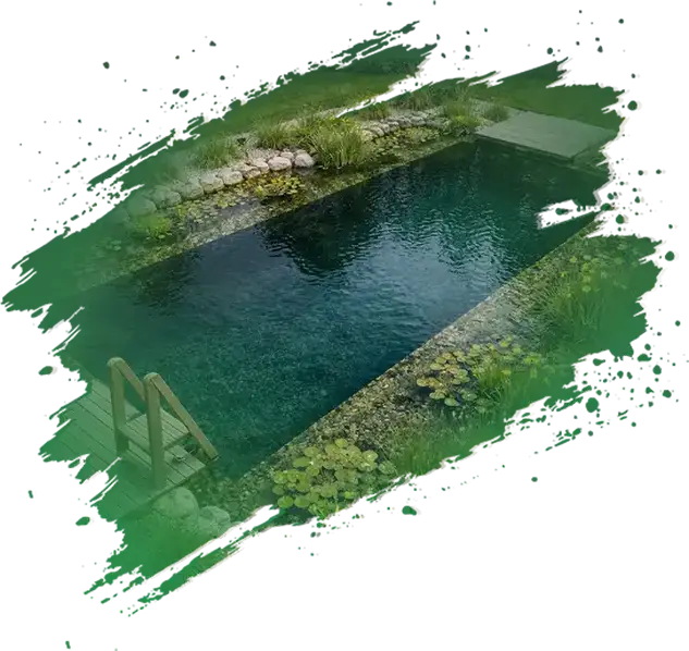 Přírodní jezírko s vodními rostlinami a čistou vodou